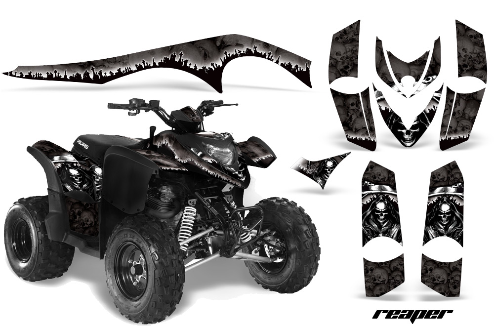 Polaris Phoenix Graphics Kit Reap B